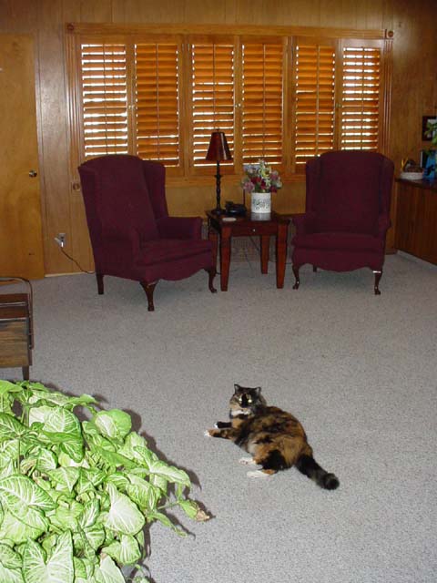 021 Living Room Front
