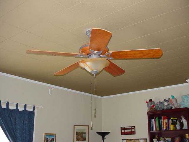 099 Kim's Office Ceiling Fan