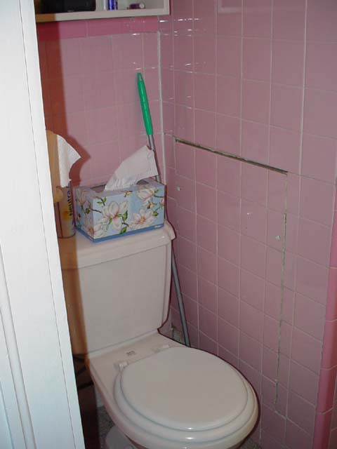 104 Chris' Bathroom Fixed Toilet And Plumbing