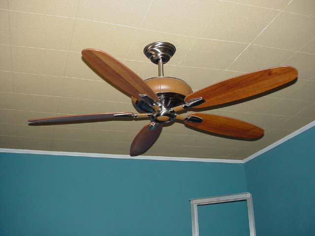 112 Chris' Office Ceiling Fan