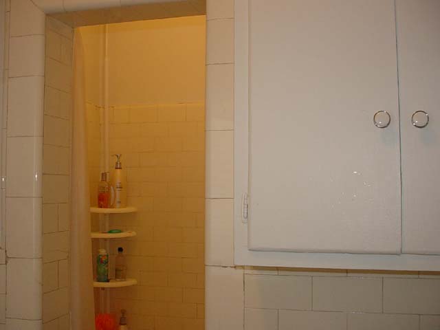 147 Master Shower And Cabinet