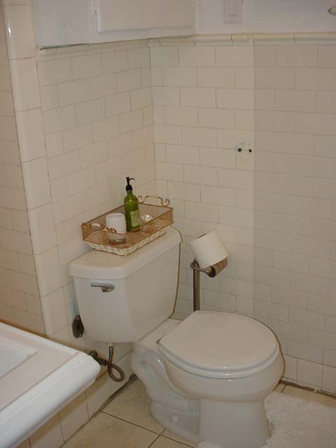 148 Master Bathroom Toilet